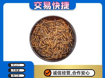 营口礼品回收虫草.jpg